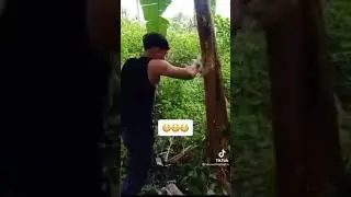 #china  #fight  #kunfu  #chinaboy  #chinese  #fighting #fighter