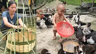 How to weave bamboo cages to catch ducks and sell them at the market to pay for Bao's tuition