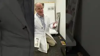 Tricks to setting effective mouse traps