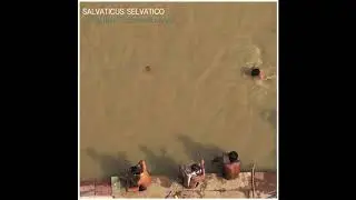 Pineal Traveler (Binaural Beats) - Activation Contemplation/ Salvaticus Selvatico