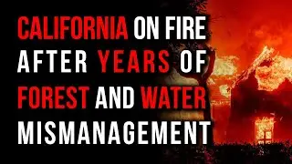 California's On Fire: How Green Policies May Have Helped Fueled a Disaster