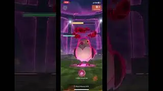 Puddle dyna raid