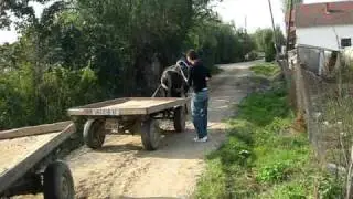 straparijada drinic2009