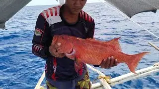 JACKPOT! Sa Malalaking Isda! Grabe! 9,000+ Ang Kinita Nito Subrang Mahal Ng isdang ito