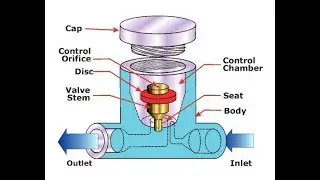 Mechanical steam trap