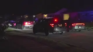 Fight leads to police chase in East St. Louis Wednesday morning