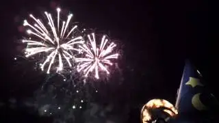 2013 Disney Cast Service Celebration Fireworks