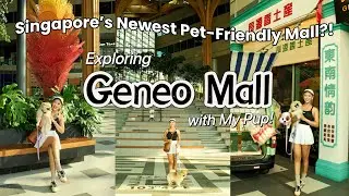 Newly Opened Singapore Shopping Mall | GENEO Mall | Pet-Friendly Mall in Science Park Singapore