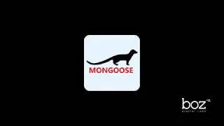 Mongoose Demo