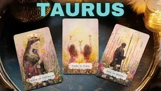TAURUS ❤️✨, OMG 😱 SHOCKING TEXT INCOMING FROM THIS PERSON! YOU WON’T BELIEVE WHAT IT SAYS🗣️💥