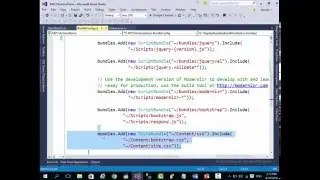MVC Style and Script Bundle