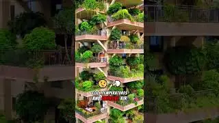 China&rsquo;s Forest City That Absorbs 10,000 Tons Of CO₂ || #greenarchitecture #forestcity