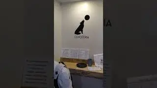 Ukuleler&iacute;a. Colima 23 . Col. Roma. CDMX.