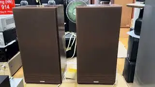 Loa pioneer bass 30