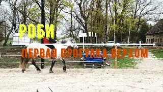 Первая прогулка с Роби / First walk with Roby
