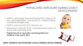 Environmental Endocrine Disruptors and Declining Male Reproductive Potential