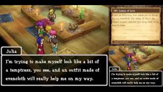 Dragon Quest IX Quest #9 [30]