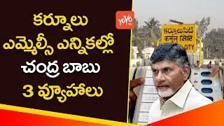 CM Chandrababu Naidu New 3 Strategies On kurnool MLC By Polls | YOYO TV Channel