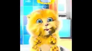 El Gato Amarillo   Te Quiero Mucho Mucho