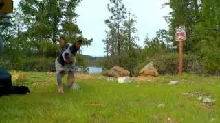 Sugar Pine Reservoir