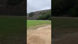 Timber x Touch n go #rc #rcairplane #aircraft #landing #touchngo