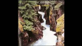 Cat Sevens - Randy