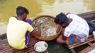 How to catch fish in a river with a net || #fishingo