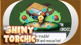 [ISHC] LIVE! Shiny Torchic after 1,539 SRs!!!