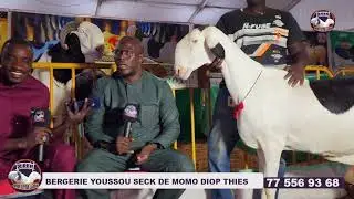 Antet 2024 Bergerie youssou Seck thies propriétaire momou diop thies tél 775569368