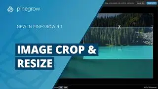 Resize, Crop, and Optimize Images in Pinegrow Web Editor