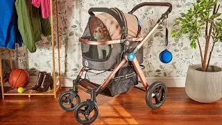 Dog Stroller : Which are the Best Dog Strollers in 2024?