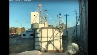 Hauling Soybeans to the Elevator