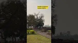 Buddha birthplace  lumbini Nepal #buddha #lumbini #nepal #birthday #birthplace #buddhism #peace
