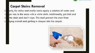 How to clean carpet cleaning | Menagetotal.ca