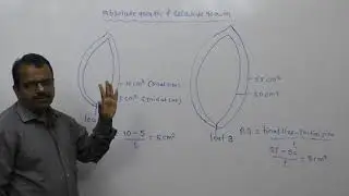 7  Plant growth & development Absolute & relative growth