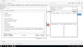 Live HTTP Headers & Tamper Data Addons