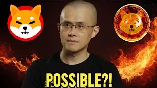 BUT HOW IS IT POSSIBLE? Dropping Changpeng Zhao Bombshell! - Shib News Today