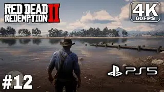 RED DEAD REDEMPTION 2 Gameplay Walkthrough Part 12 Full Game No Commentary 