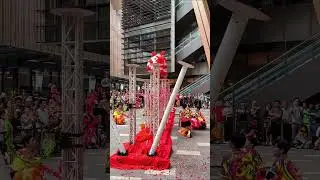 traditional dance performance #liondance #traditional
