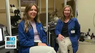 UCLA Impact Research - Prof. Anne Andrews