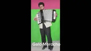 Galo Morocho 