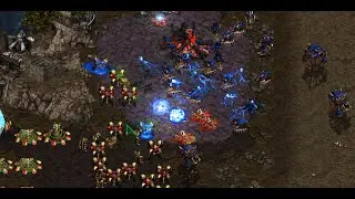 Forward Hatch??? Snow! 🇰🇷 (P) vs Soma! 🇰🇷 (Z) on Polypoid - StarCraft - Brood War REMASTERED
