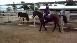 MOV05570
