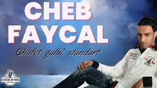 Cheb Faycal - Chafet galbi standart