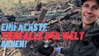 Einfachste Tierfalle der Welt bauen | Bushcraft & Survival
