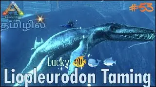 How To Tame Liopleurodon / Rare spawn / Ark Survival Evolved Gameplay In Tami / Part #53 [CRG]