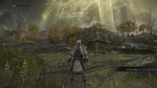Lvl 28 Tree Sentinel with int build