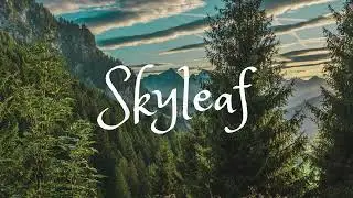 【TEASER AUDIO】| Three Cloud - Skyleaf
