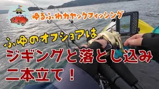 第22回 反応厳しい冬は落とし込みが面白い！思わぬ大物が釣れた！