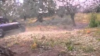 TRINCIA SARMENTI PK NTA